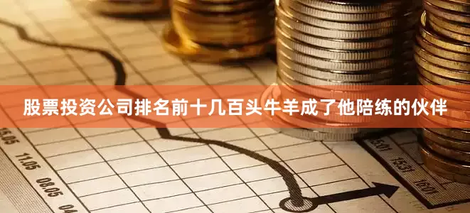 股票投资公司排名前十几百头牛羊成了他陪练的伙伴