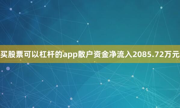 买股票可以杠杆的app散户资金净流入2085.72万元