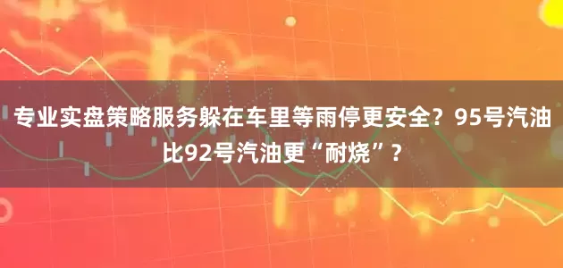 专业实盘策略服务躲在车里等雨停更安全？95号汽油比92号汽油更“耐烧”？