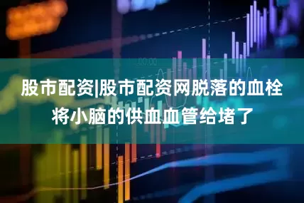 股市配资|股市配资网脱落的血栓将小脑的供血血管给堵了